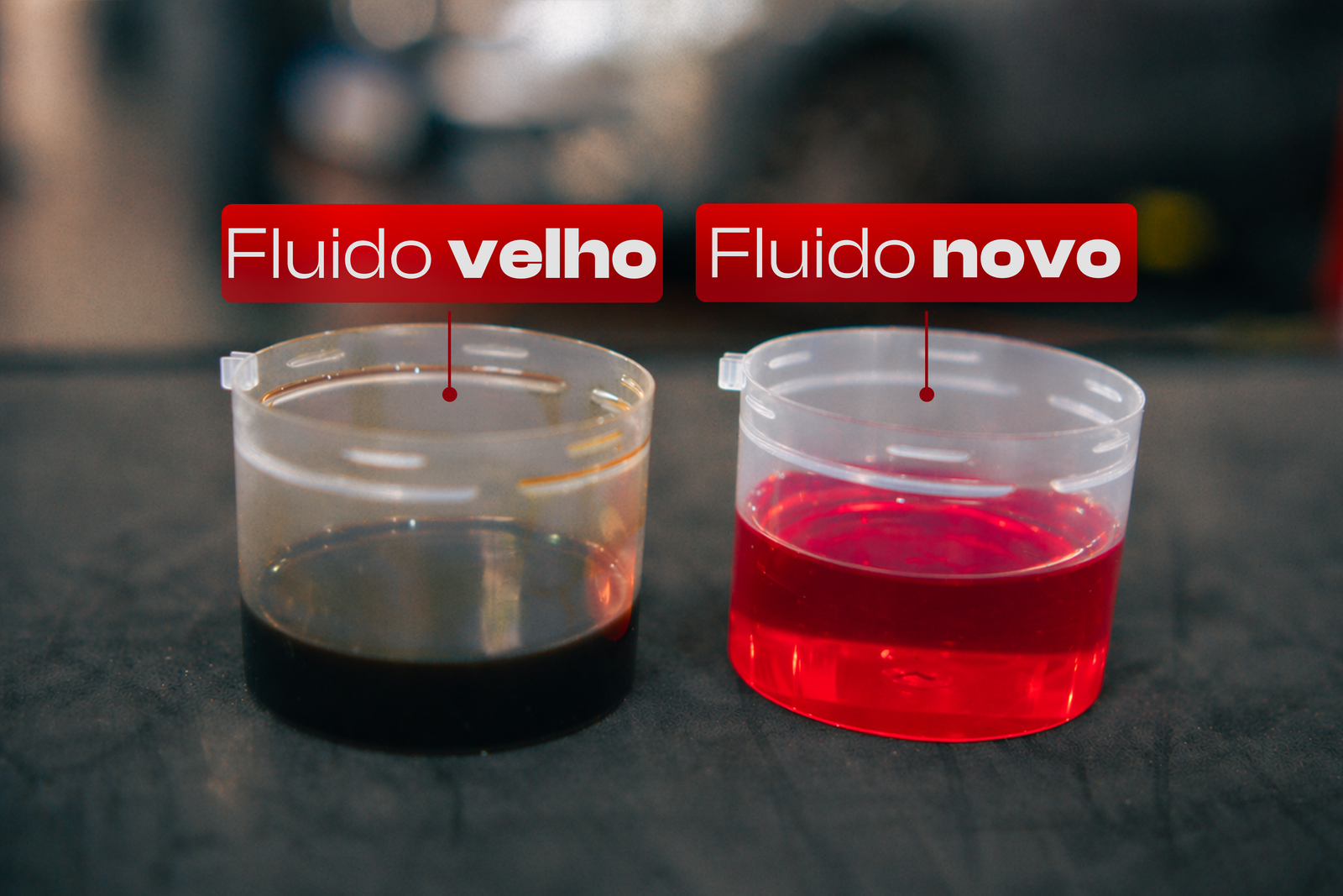 Fluidos do cambio